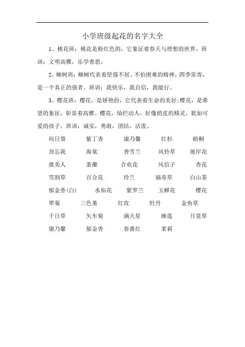 小学班级起花的名字大全