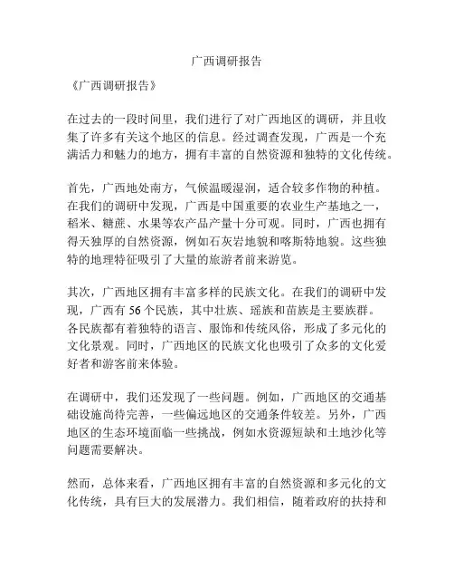 广西调研报告