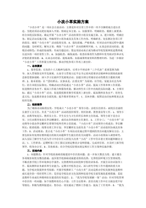 小改小革实施方案