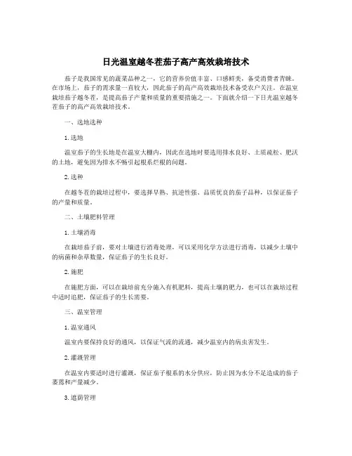 日光温室越冬茬茄子高产高效栽培技术