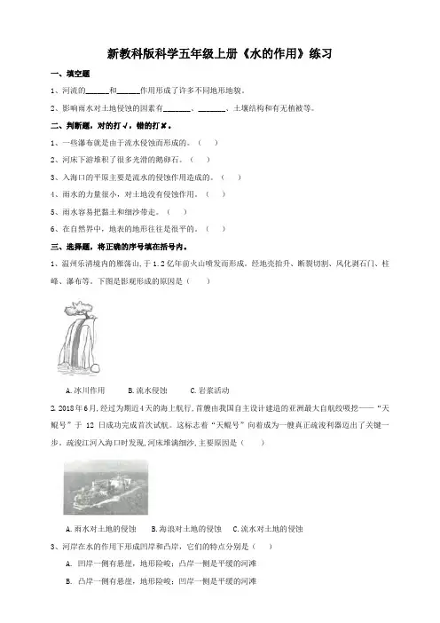 新教科版科学五年级上册《水的作用》练习
