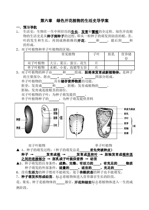 第六章  绿色开花植物的生活史导学案