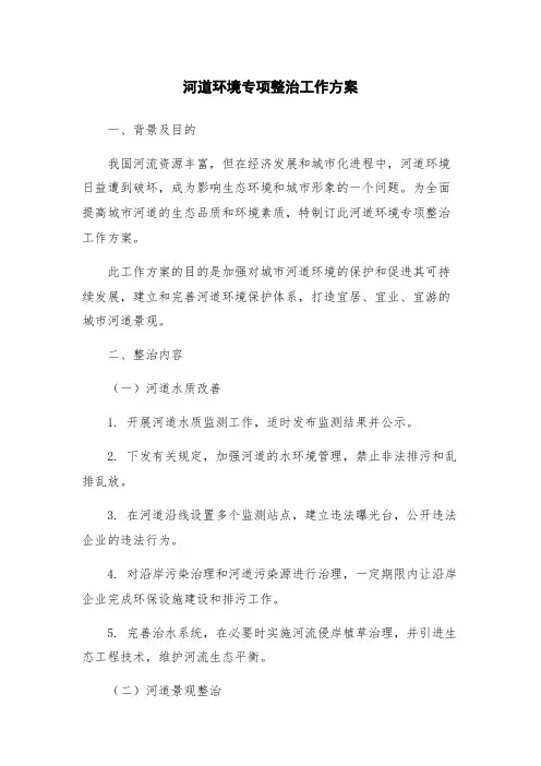 河道环境专项整治工作方案