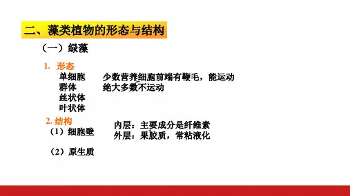 高中生物竞赛辅导《藻类》精品PPT课件