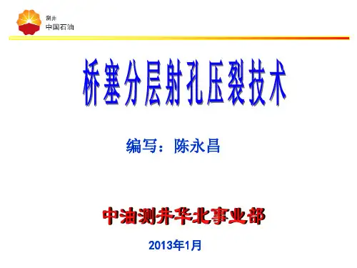 桥塞分层射孔压裂技术