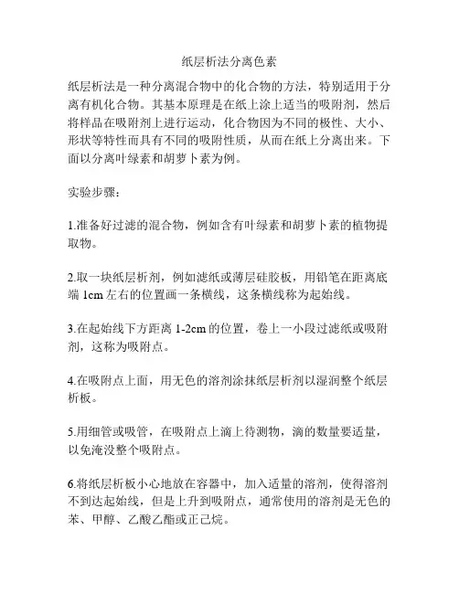 纸层析法分离色素