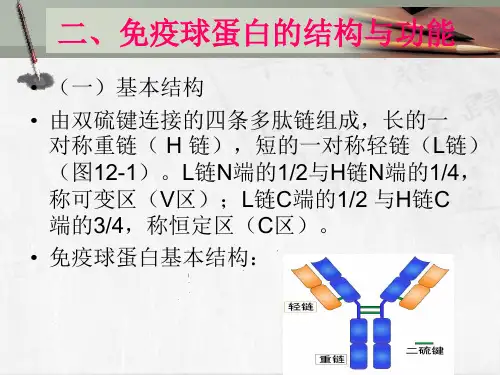 卫校病原生物与免疫第三章3免疫球蛋白备课讲稿