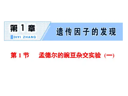 新人教版必修2第1课时 一对相对性状的杂交实验过程和解释(54张)课件