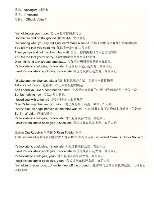 apologize(对不起)歌词-中英翻译