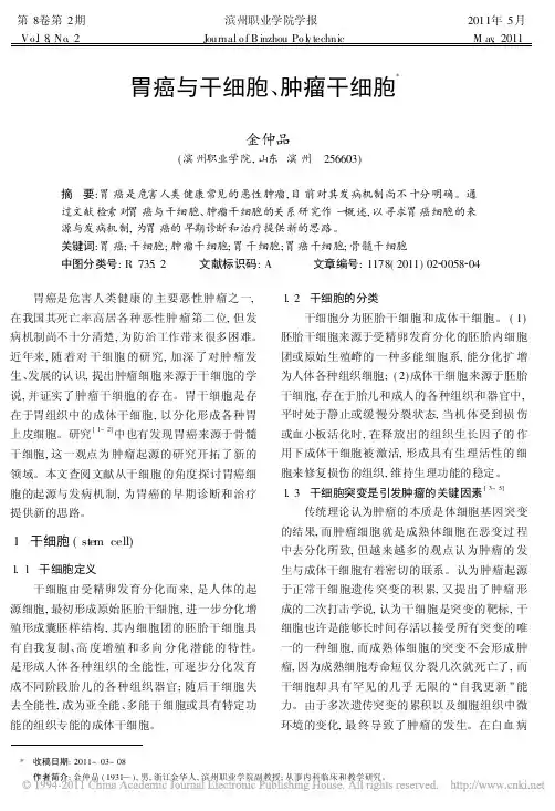 胃癌与干细胞_肿瘤干细胞