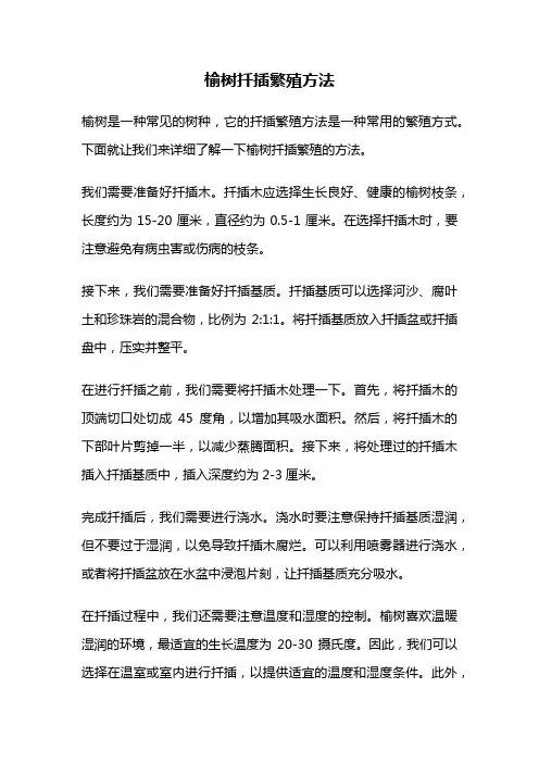 榆树扦插繁殖方法