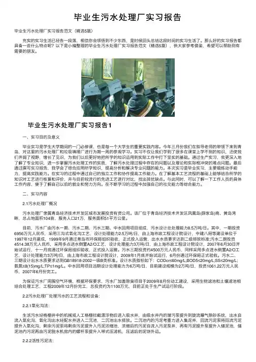 毕业生污水处理厂实习报告
