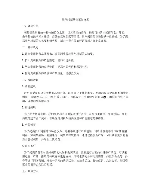 贵州刺梨营销策划方案