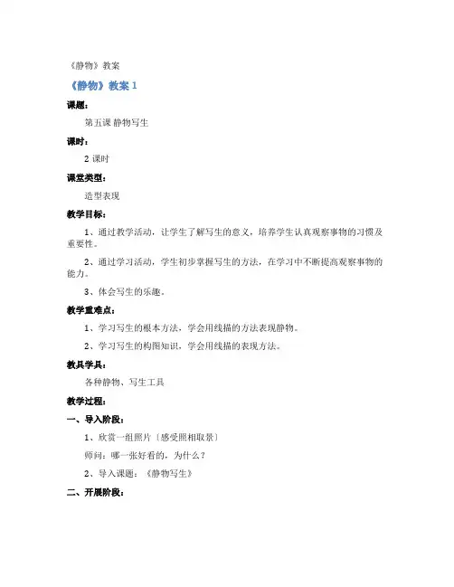 《静物》教案