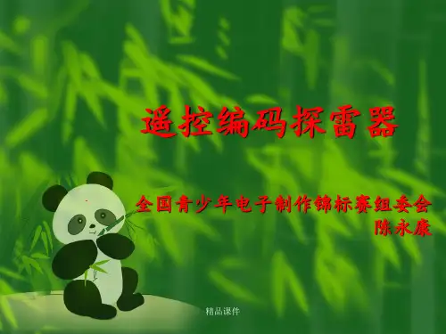 遥控编码探雷器