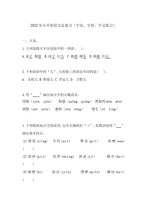 2023年小升初语文总复习(字音、字形、字义练习)