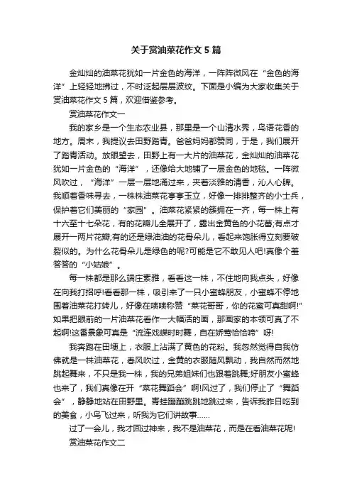 关于赏油菜花作文5篇