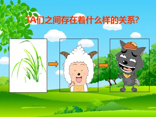 六年级下- 有趣的食物链苏教版ppt