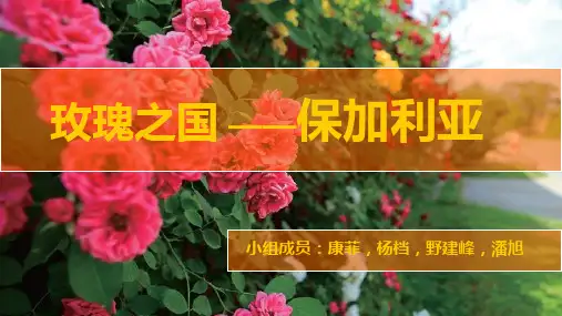 保加利亚介绍,跨文化交际课用