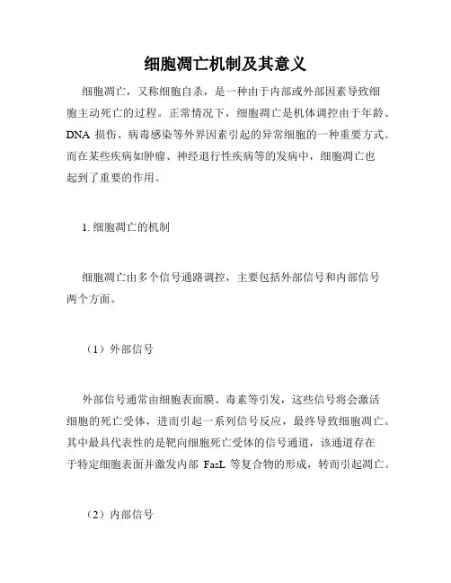 细胞凋亡机制及其意义