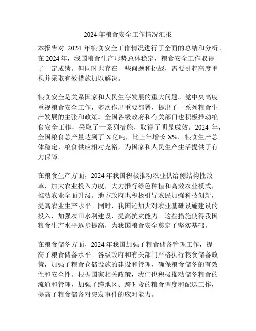 2024年粮食安全工作情况汇报