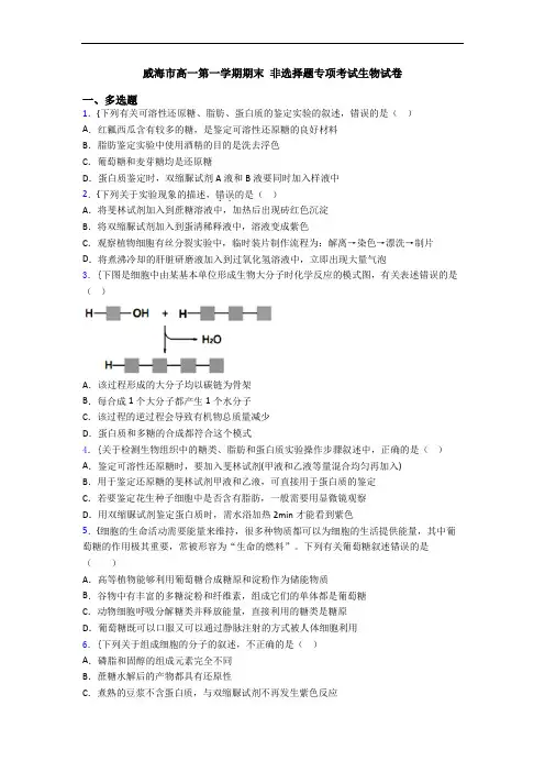 威海市高一第一学期期末 非选择题专项考试生物试卷