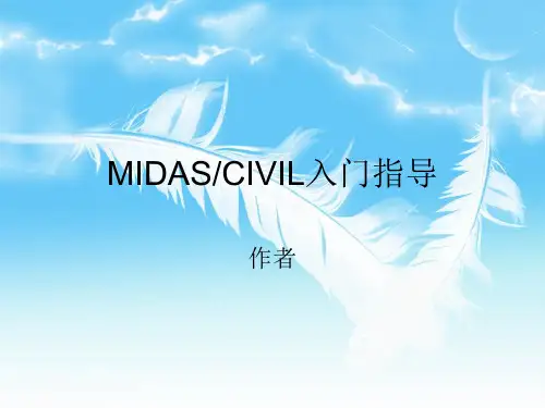 MIDAS-培训