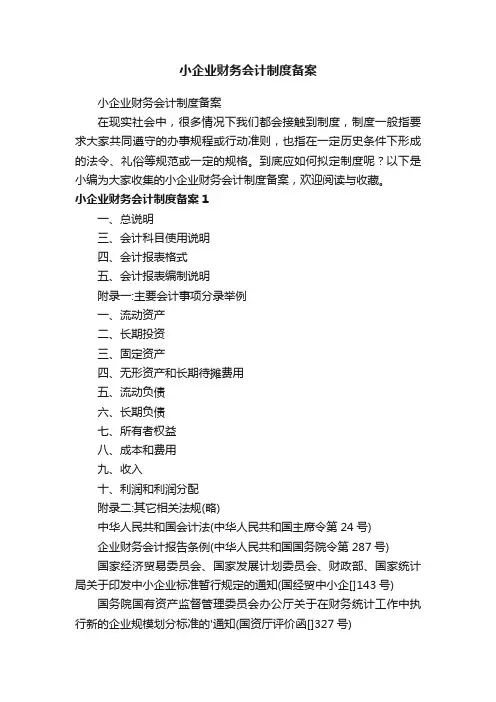 小企业财务会计制度备案