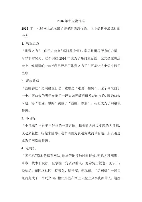 2016年十大流行语