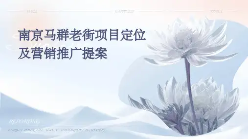 南京马群老街项目定位及营销推广提案