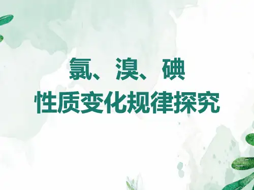 沪科版化学高一上册-2.3 氯、溴、碘 性质变化规律探究 课件 优秀课件