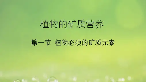 2.植物的矿质营养