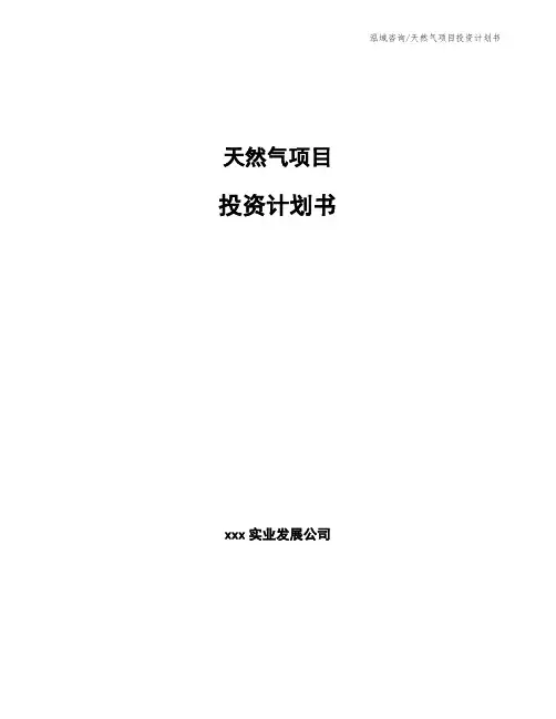 天然气项目投资计划书
