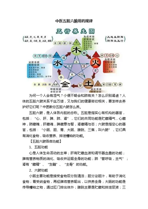 中医五脏六腑用药规律