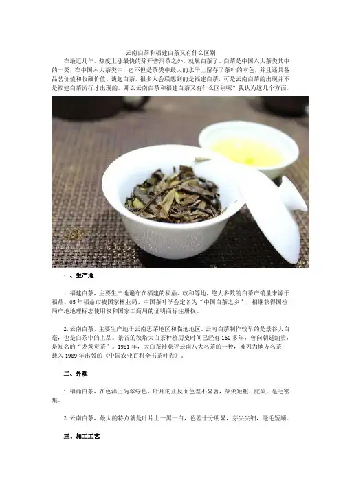 云南白茶和福建白茶又有什么区别