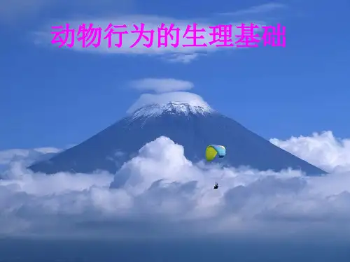 动物行为的生理基础PPT课件