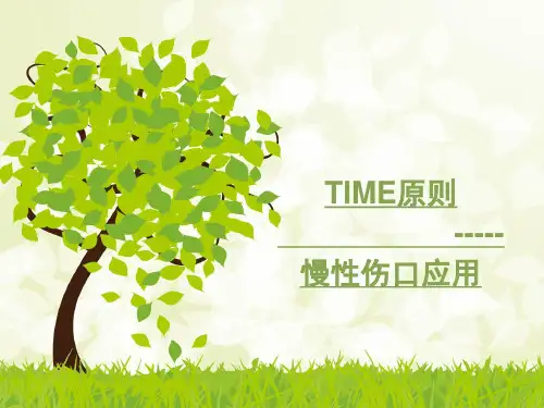 TIME在慢创中的应用