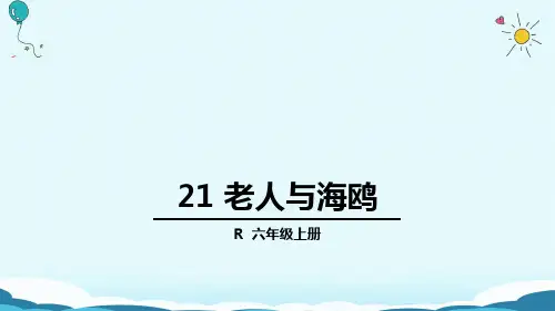 六年级上册语文课件21 老人与海鸥(人教版)(共43张PPT)