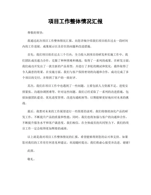 项目工作整体情况汇报