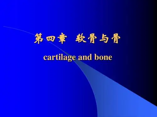 4章 软骨与骨