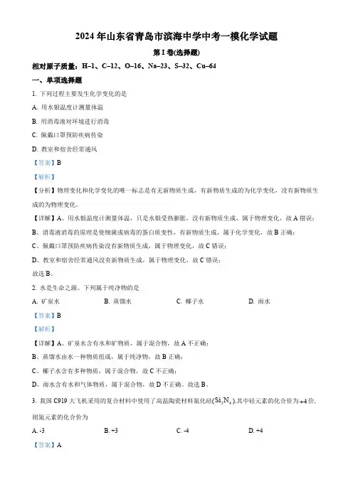 2024年山东省青岛市滨海学校中考一模化学试题(解析版)