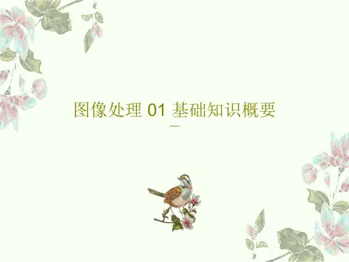 图像处理 01 基础知识概要34页PPT