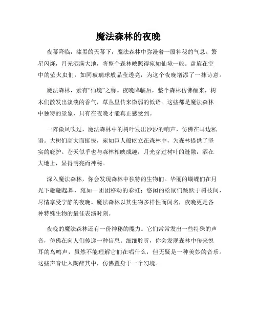 魔法森林的夜晚