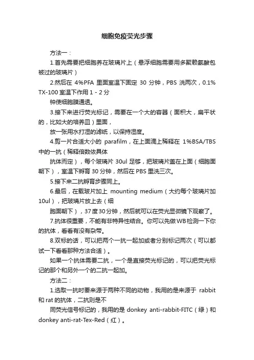 细胞免疫荧光步骤