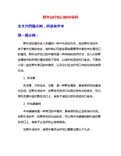 野外治疗伤口的中草药