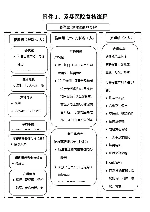 爱婴医院复核工作流程、细则及释义(只分组)