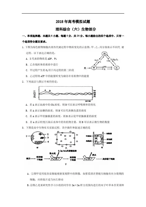 最新-广东省中山市2018届高三模拟考试理科综合(六)生物部分试题2018 精品