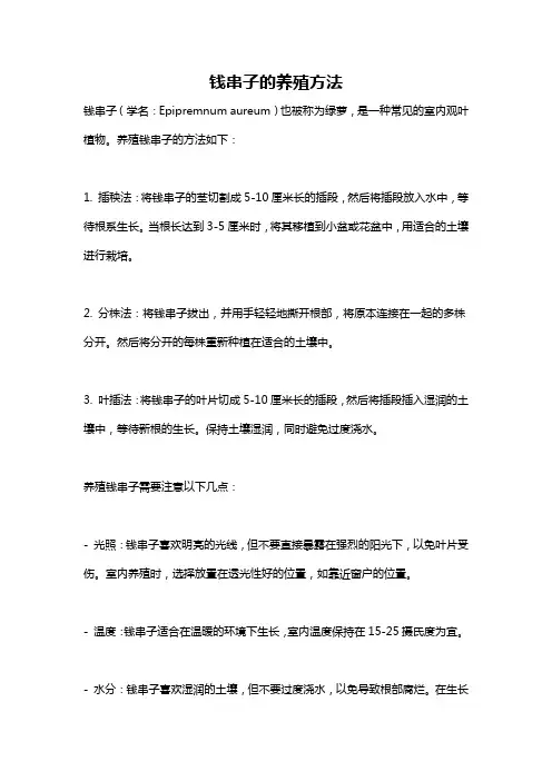 钱串子的养殖方法