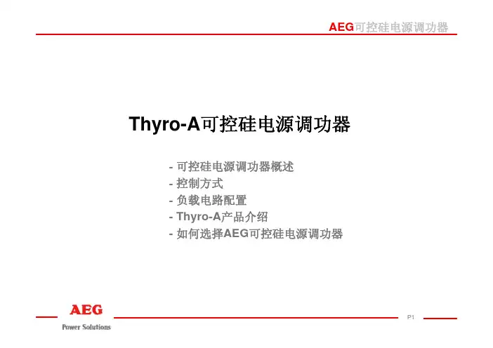 Thyro-A说明书.pdf
