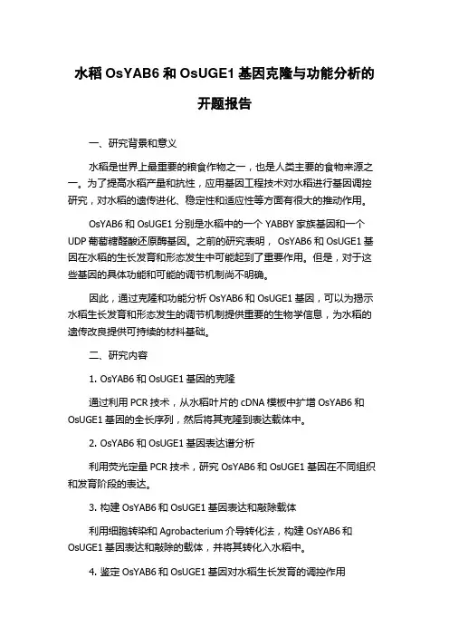 水稻OsYAB6和OsUGE1基因克隆与功能分析的开题报告
